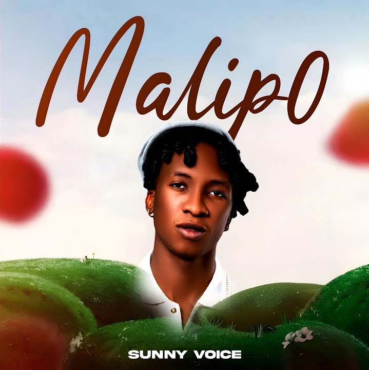 Mp3 | Sunny Voice – Malipo | (Audio Download)